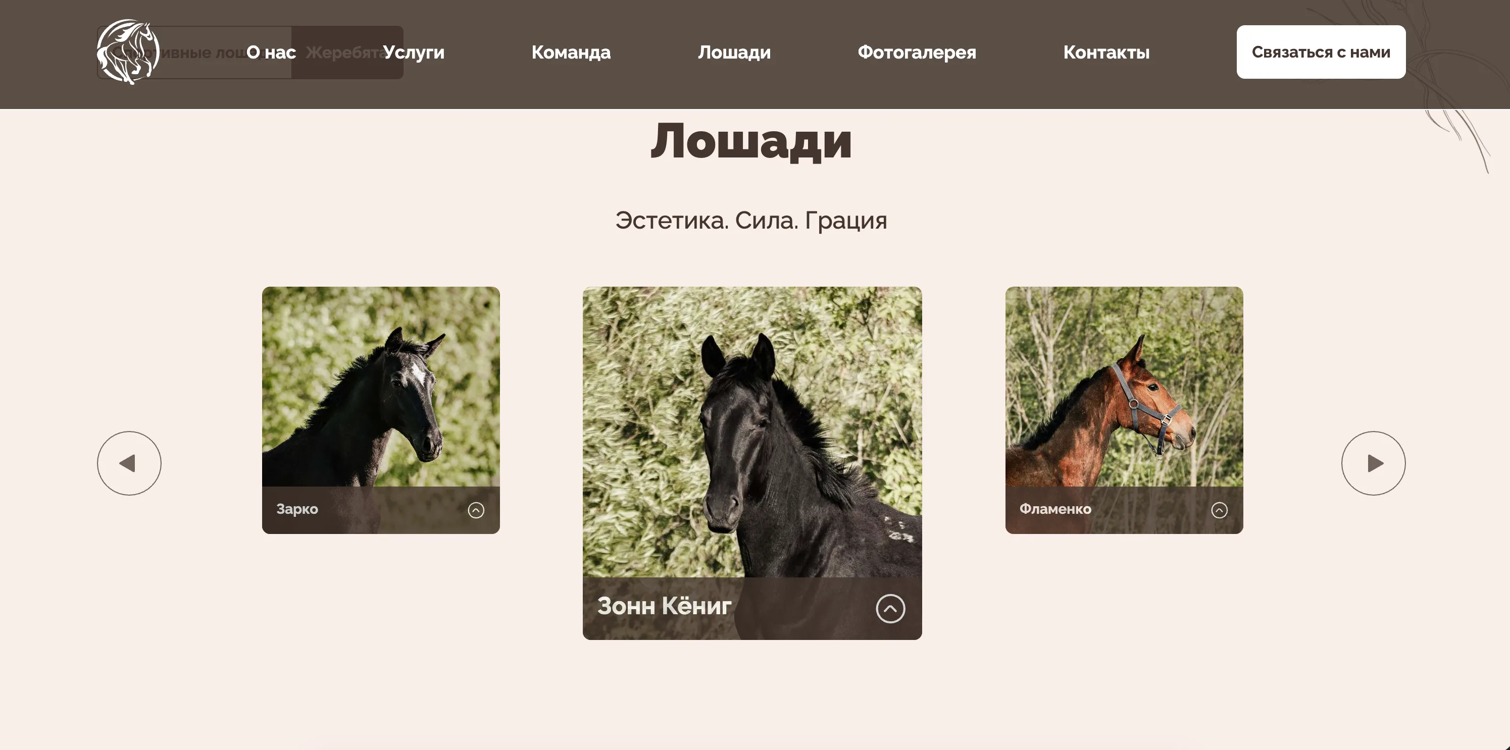Juna Horse — juna-horse.ru